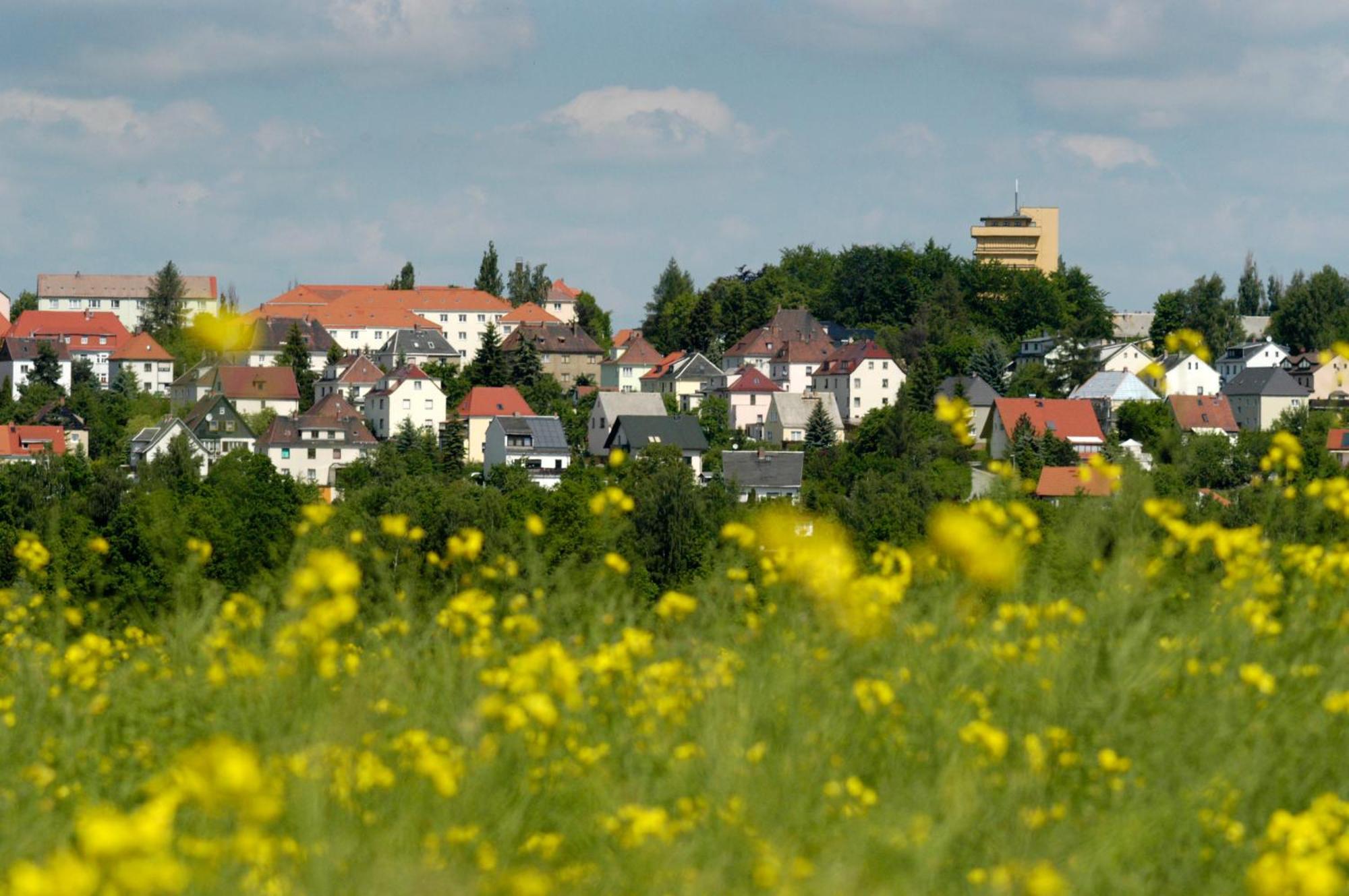 Hotel Am Park Reichenbach im Vogtland Extérieur photo